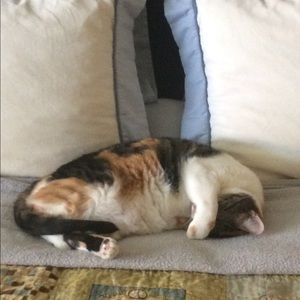 Meet your Posher, Dani